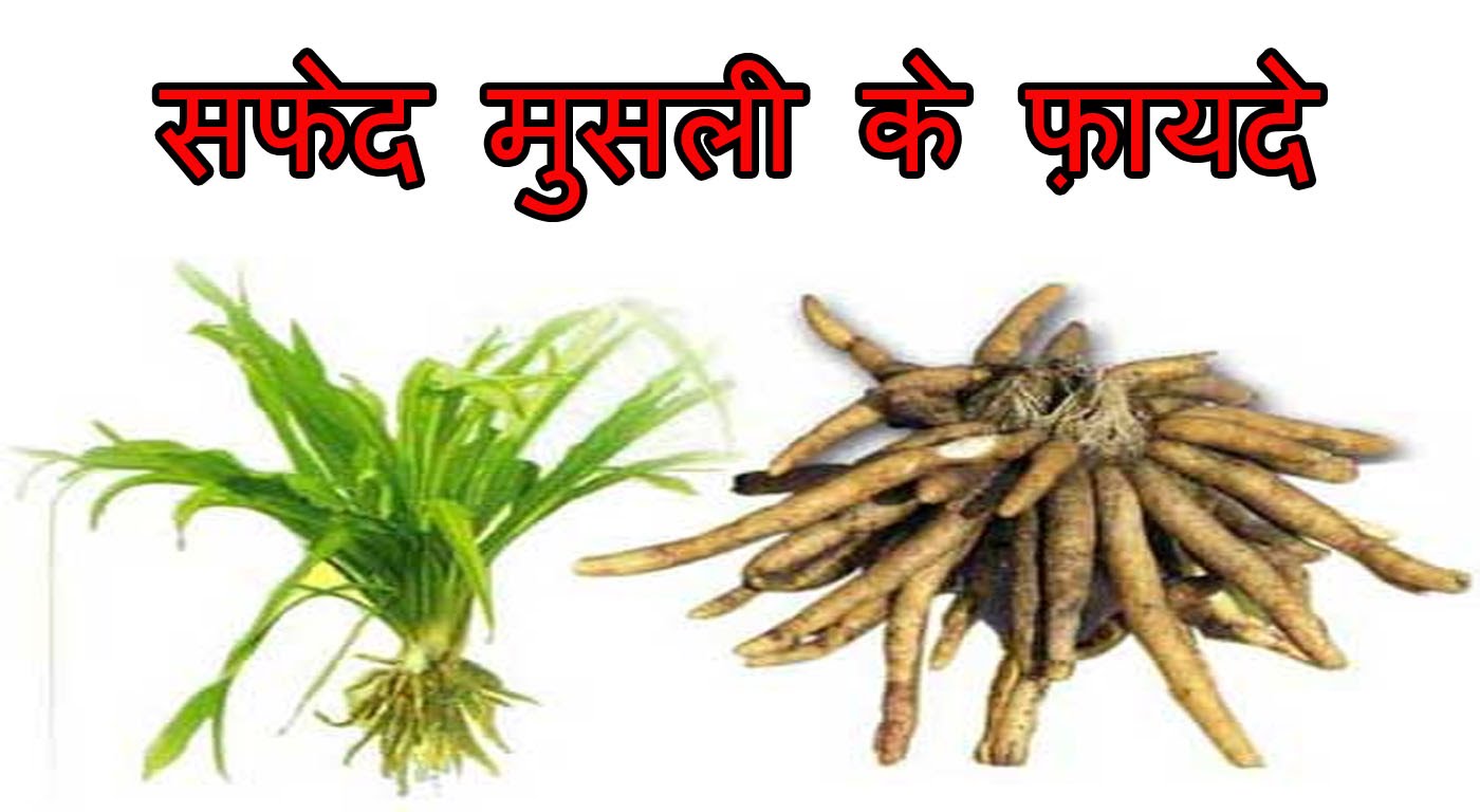 Title here Title here